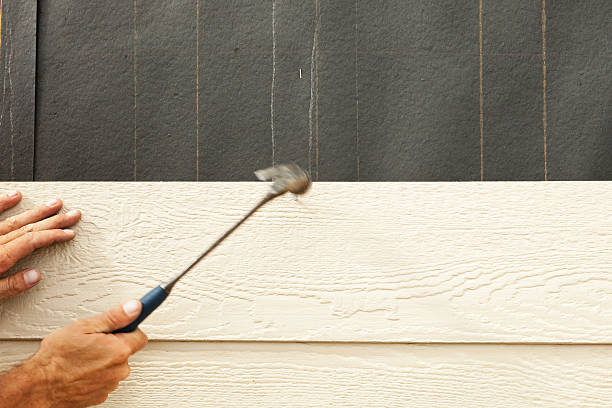 Best Insulated Siding Installation  in Sheridan, IL